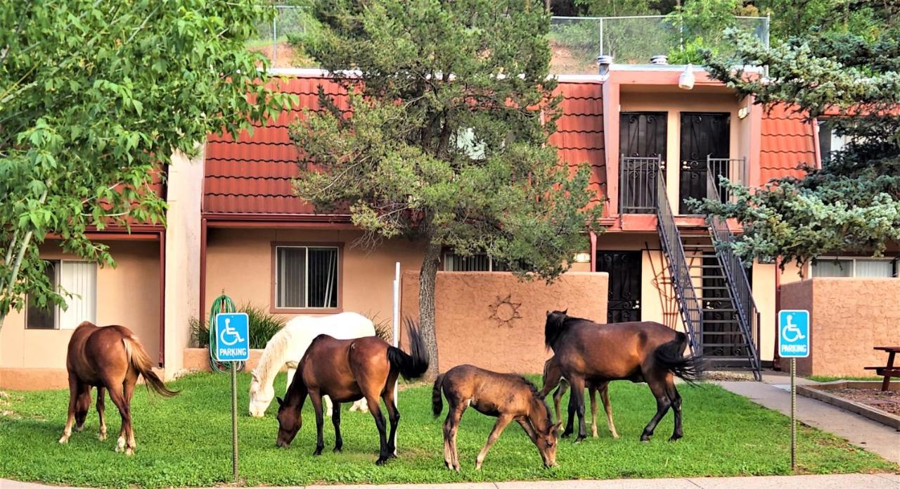 Pinecliff Village Resort Hollywood Екстериор снимка